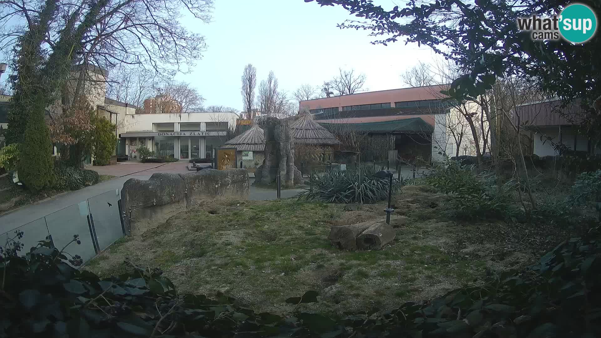 Zoo Zagreb – Merkat