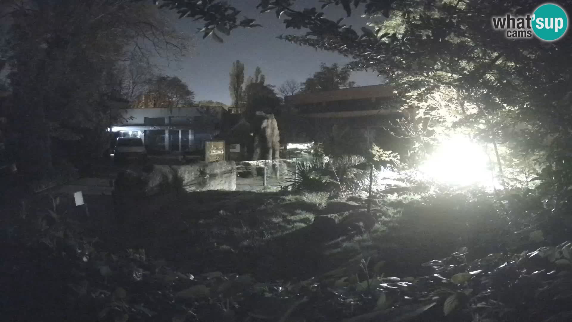 Zoo Zagreb – Merkat