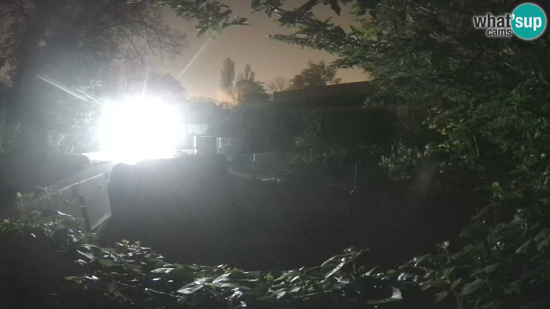 Zoo Zagreb – Erdmännchen