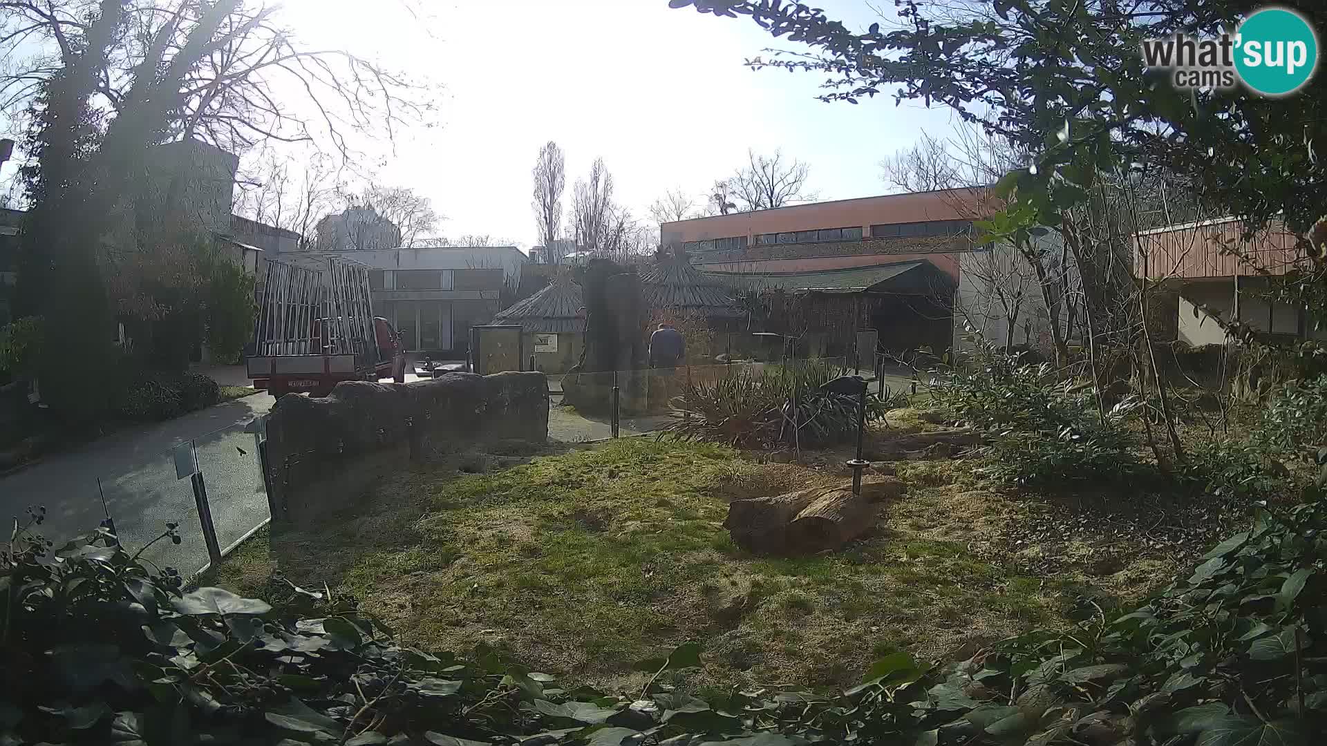 Zoo Zagreb – Merkat