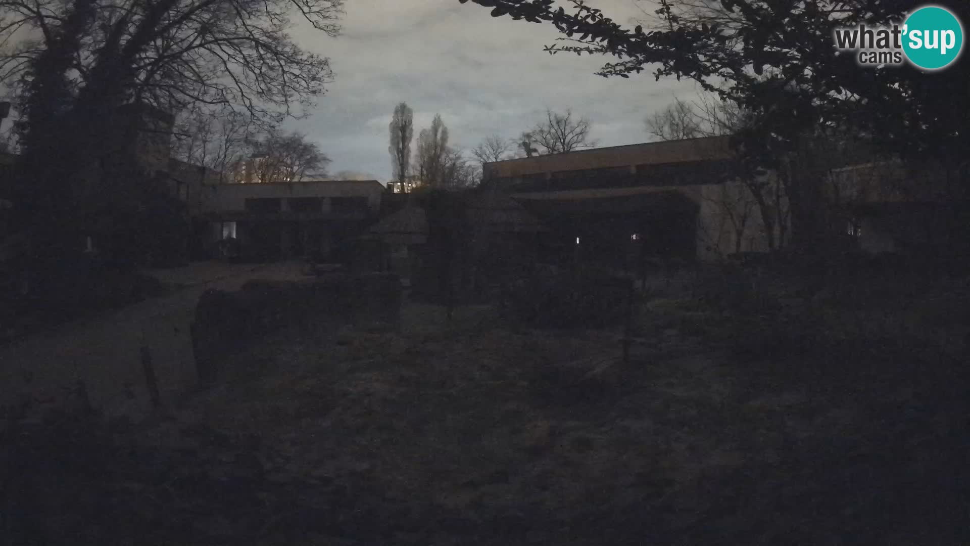 Zoo Zagreb – Merkat