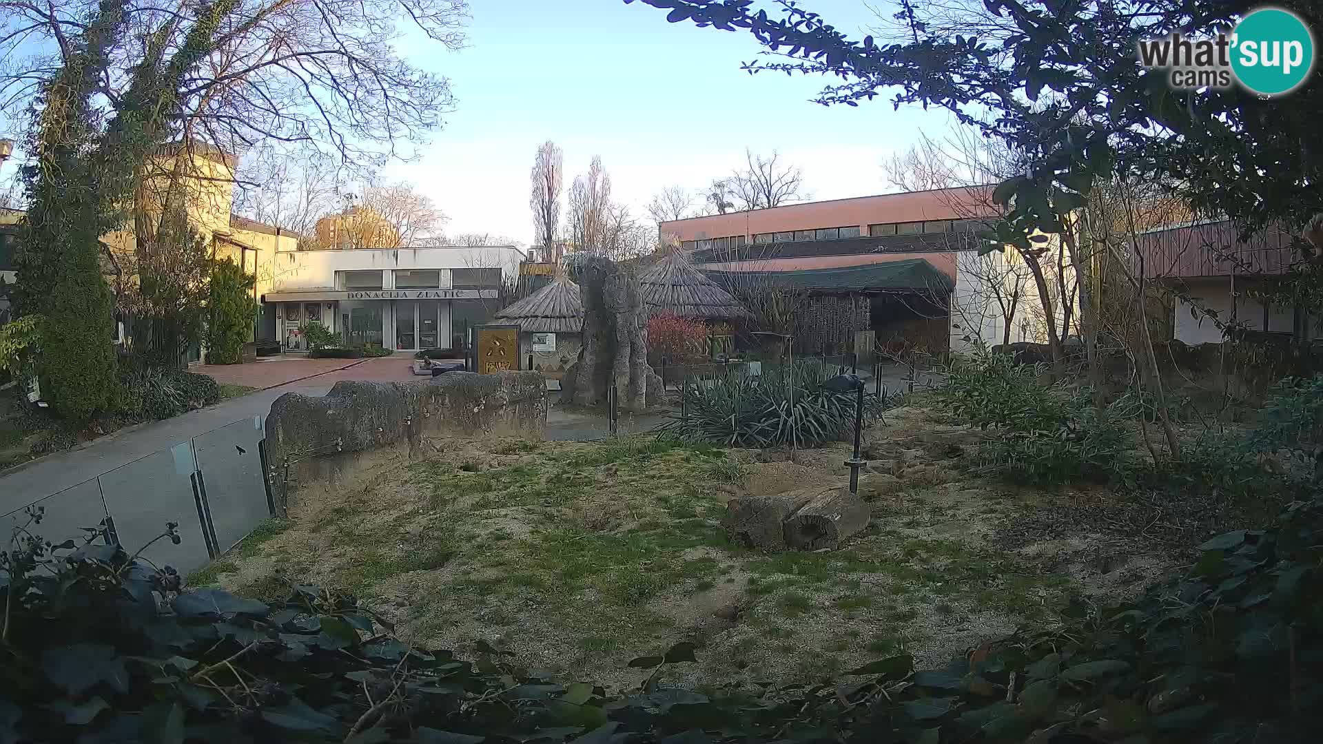 Zoo Zagreb – Erdmännchen