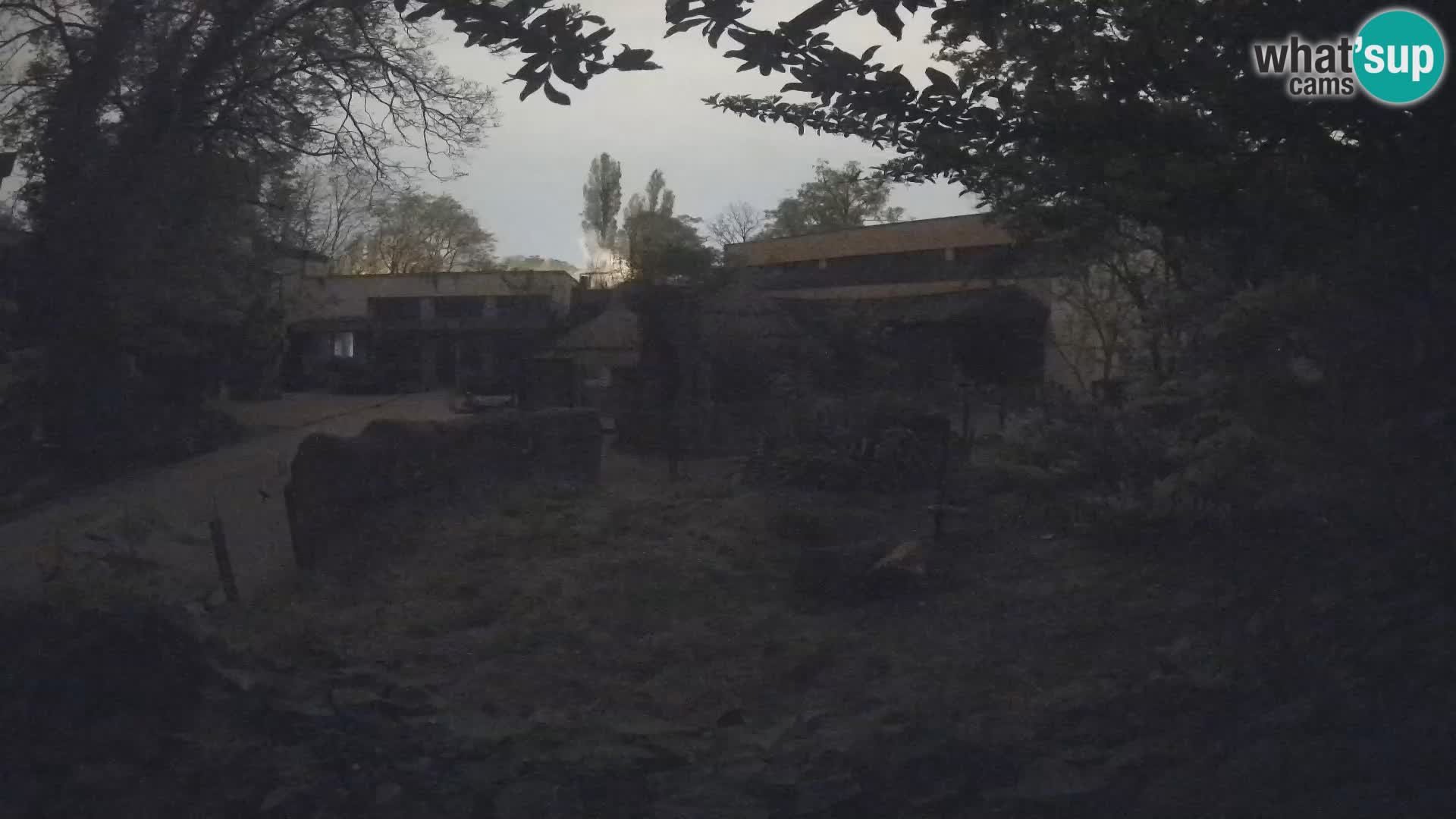 Zoo Zagreb – Erdmännchen