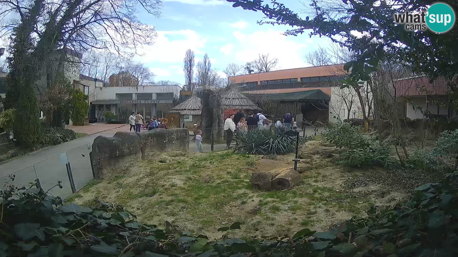 Zoo Zagreb – Erdmännchen