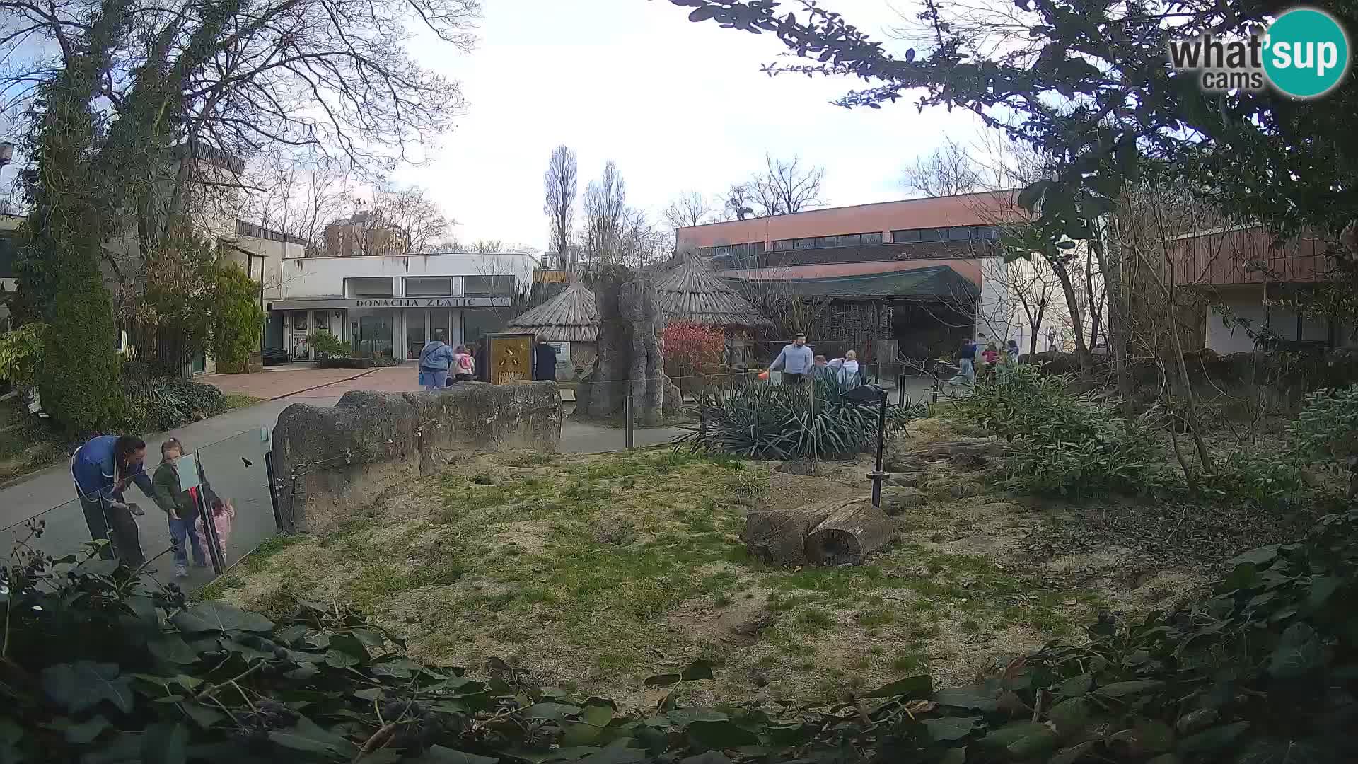 Zoo Zagreb – Suricata