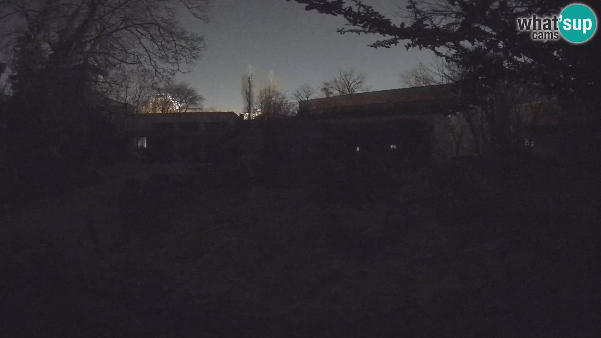 Zoo Zagreb – Surikate