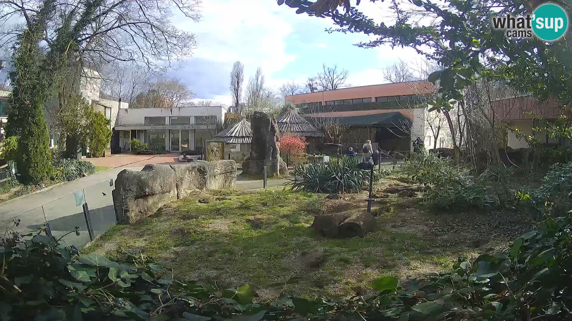 Zoo Zagreb – Surikate