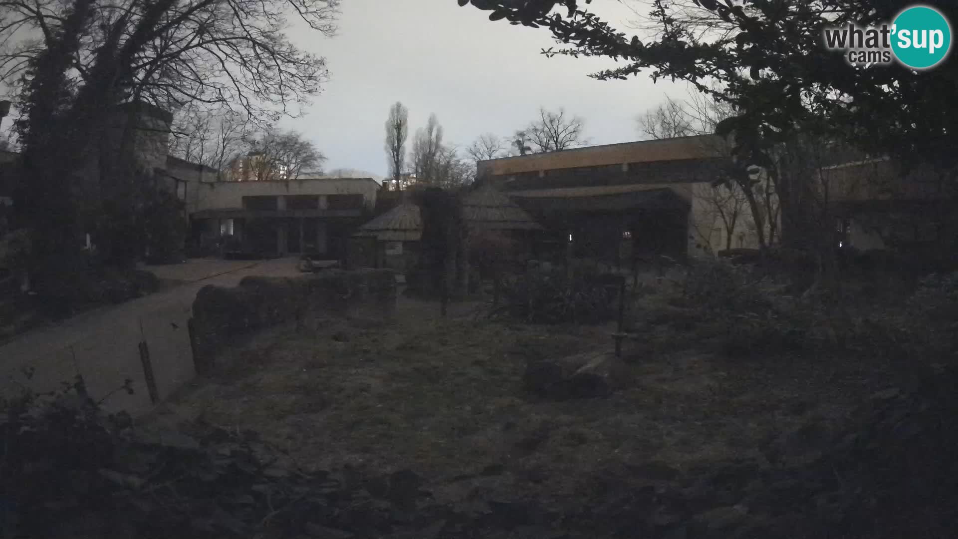 Zoo Zagreb – Merkat