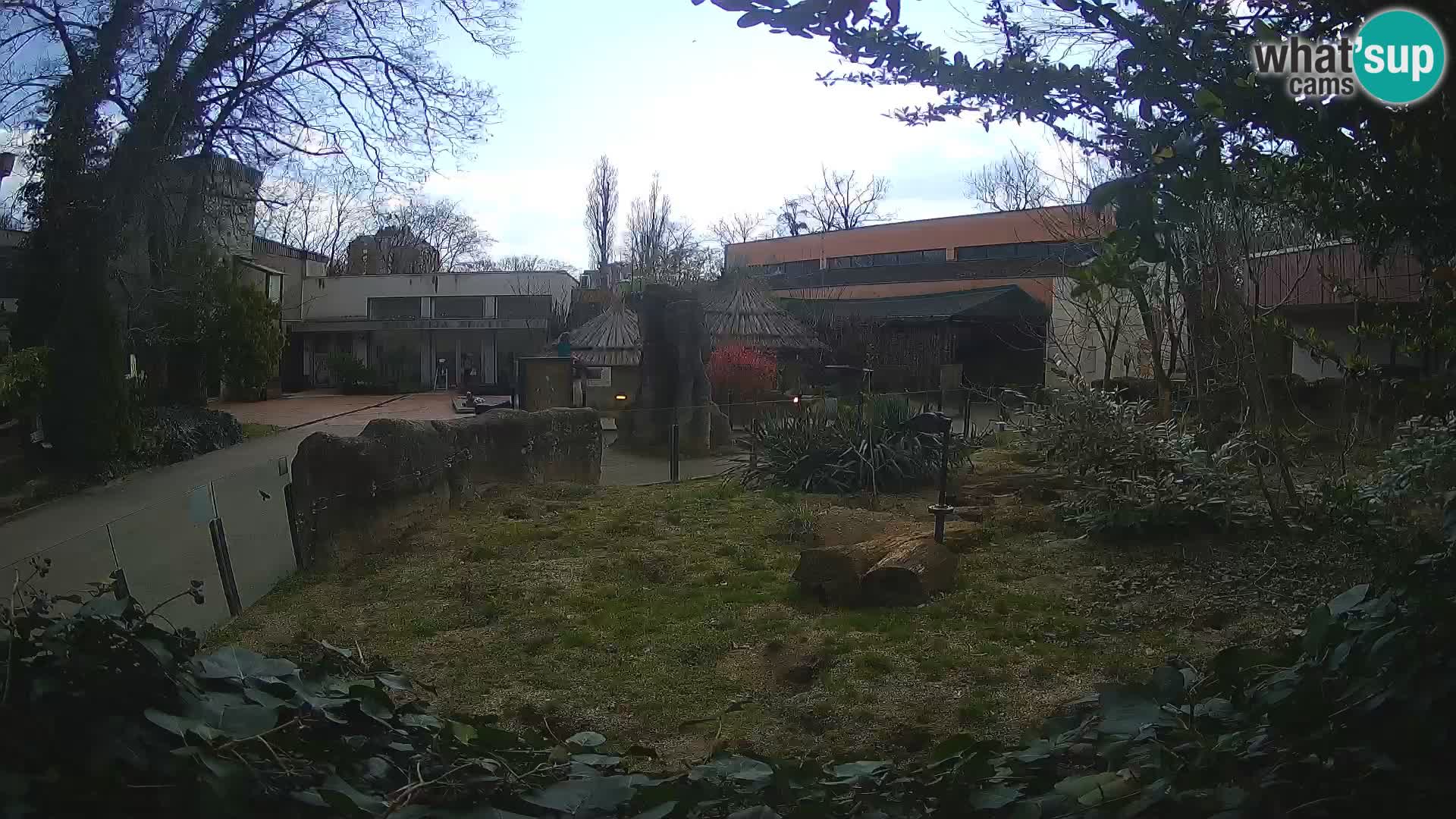 Zoo Zagreb – Erdmännchen