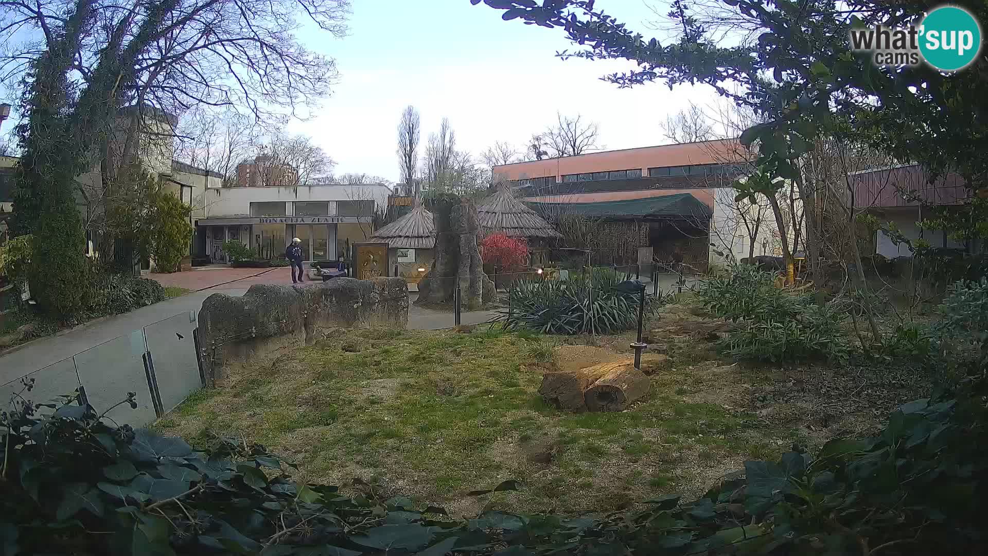Zoo Zagreb – Surikate