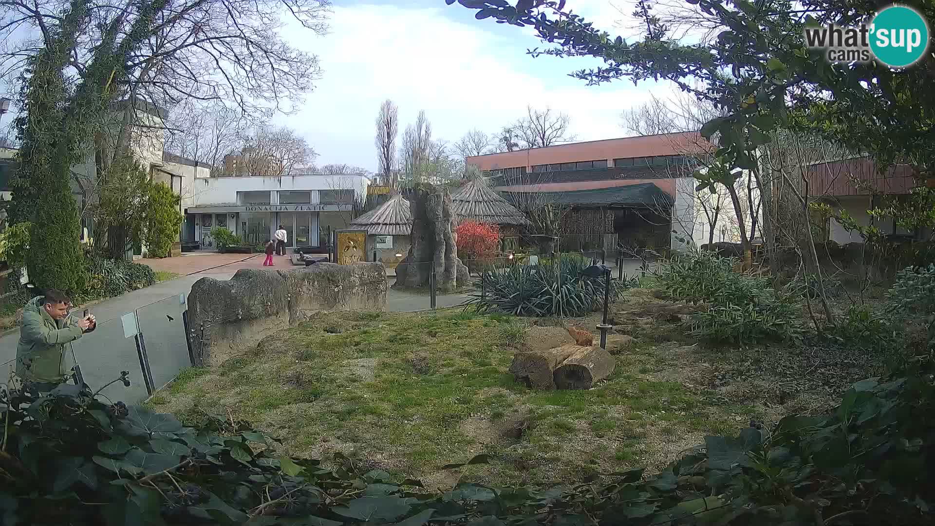Zoo Zagreb – Suricata
