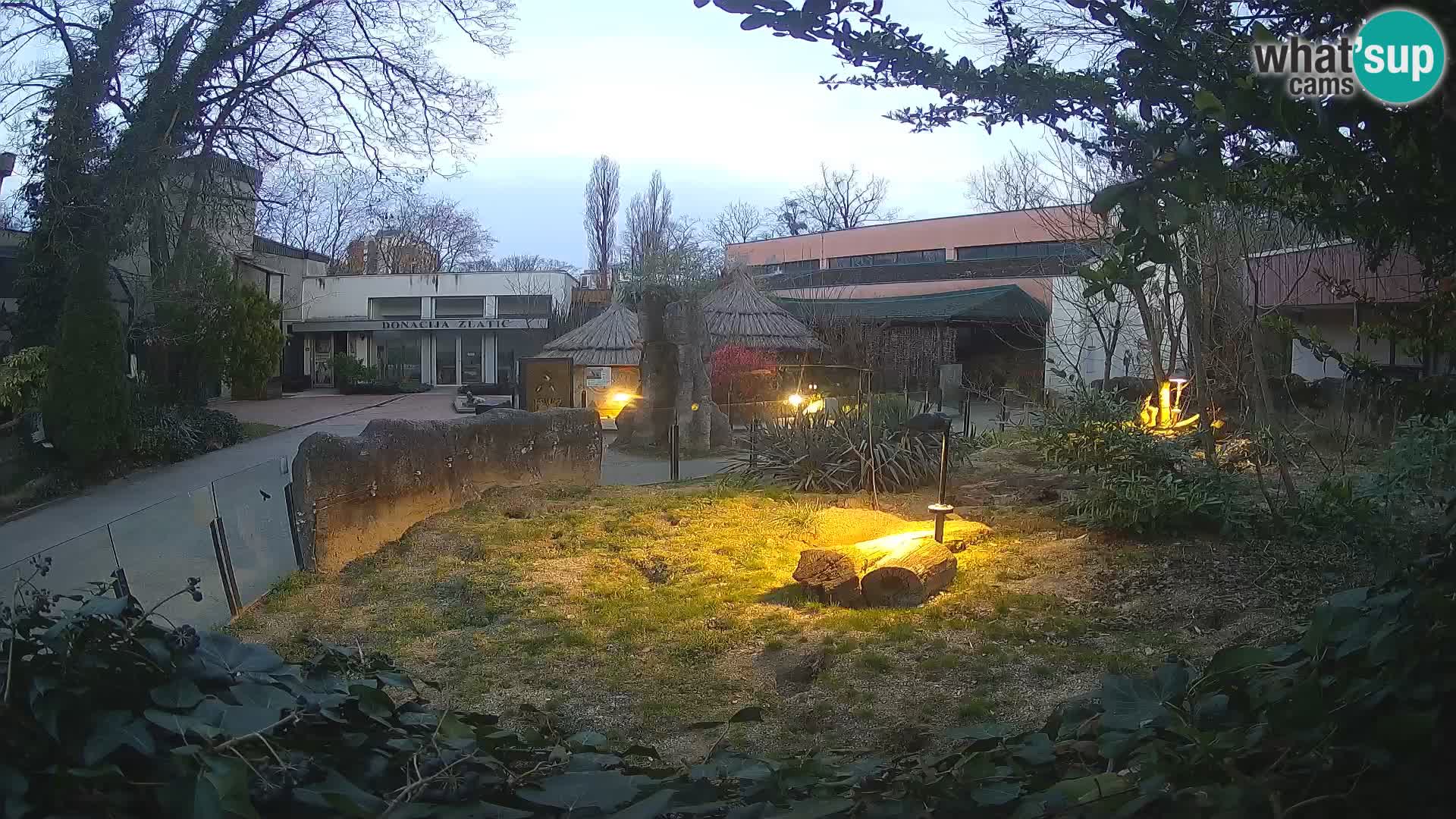 Zoo Zagreb – Suricate