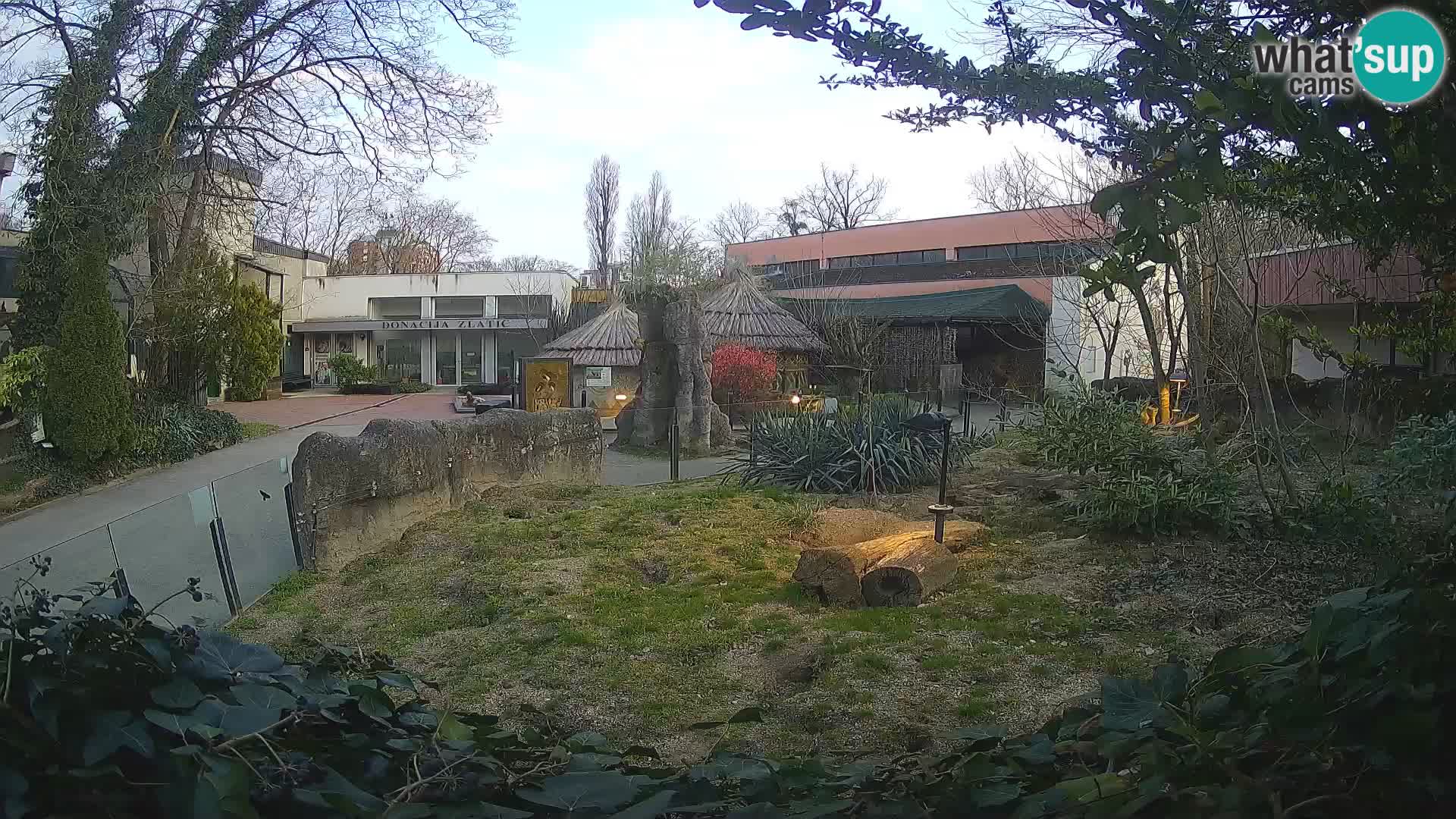 Zoo Zagreb – Erdmännchen