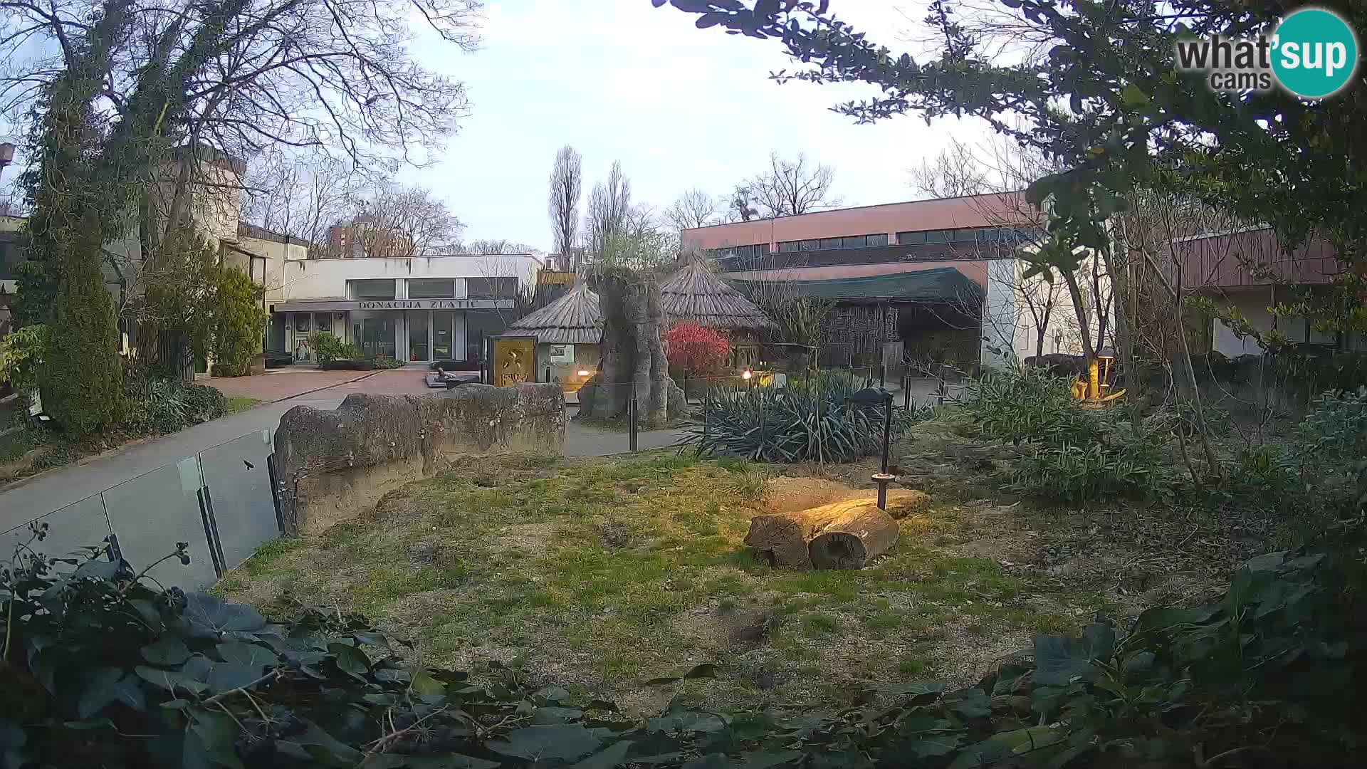 Zoo Zagreb – Merkat