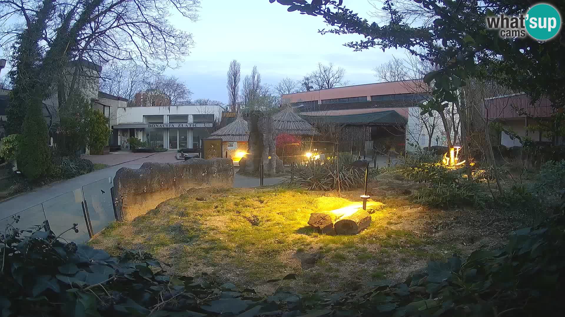 Zoo Zagreb – Merkat