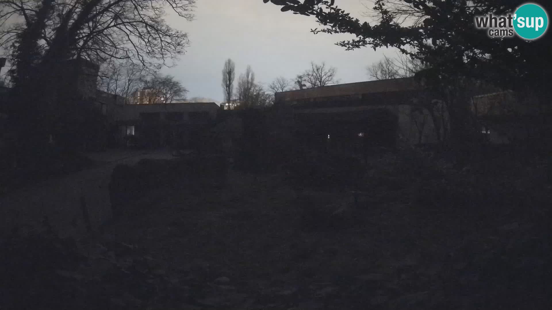 Zoo Zagreb – Merkat