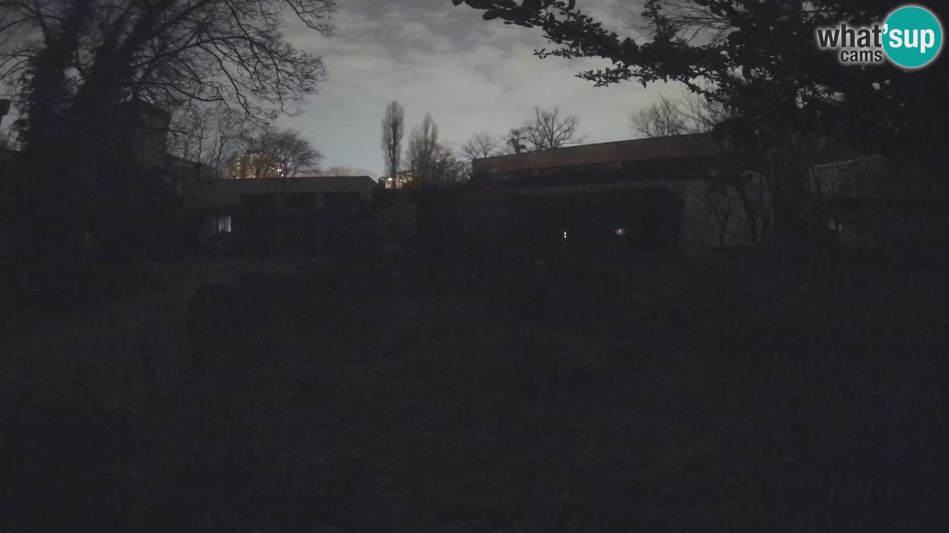 Zoo Zagreb – Erdmännchen