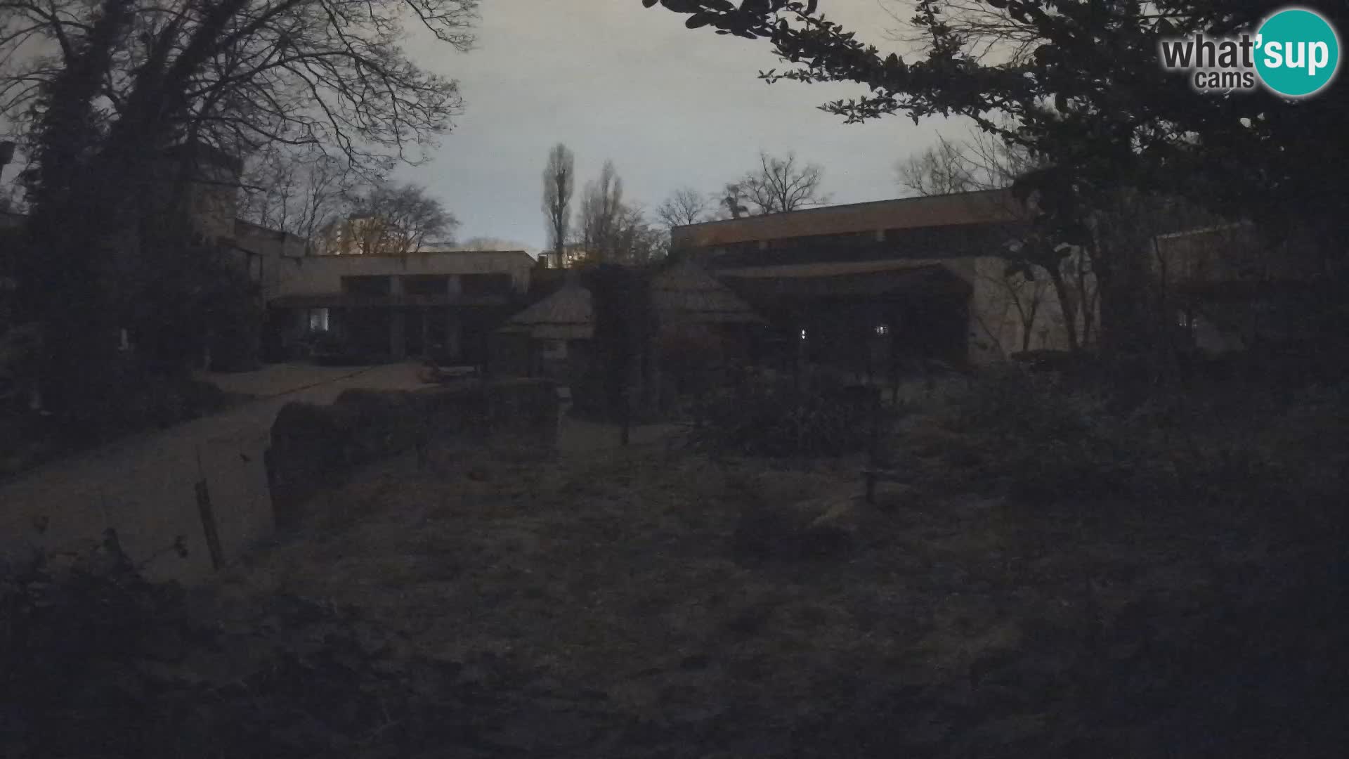 Zoo Zagreb – Erdmännchen