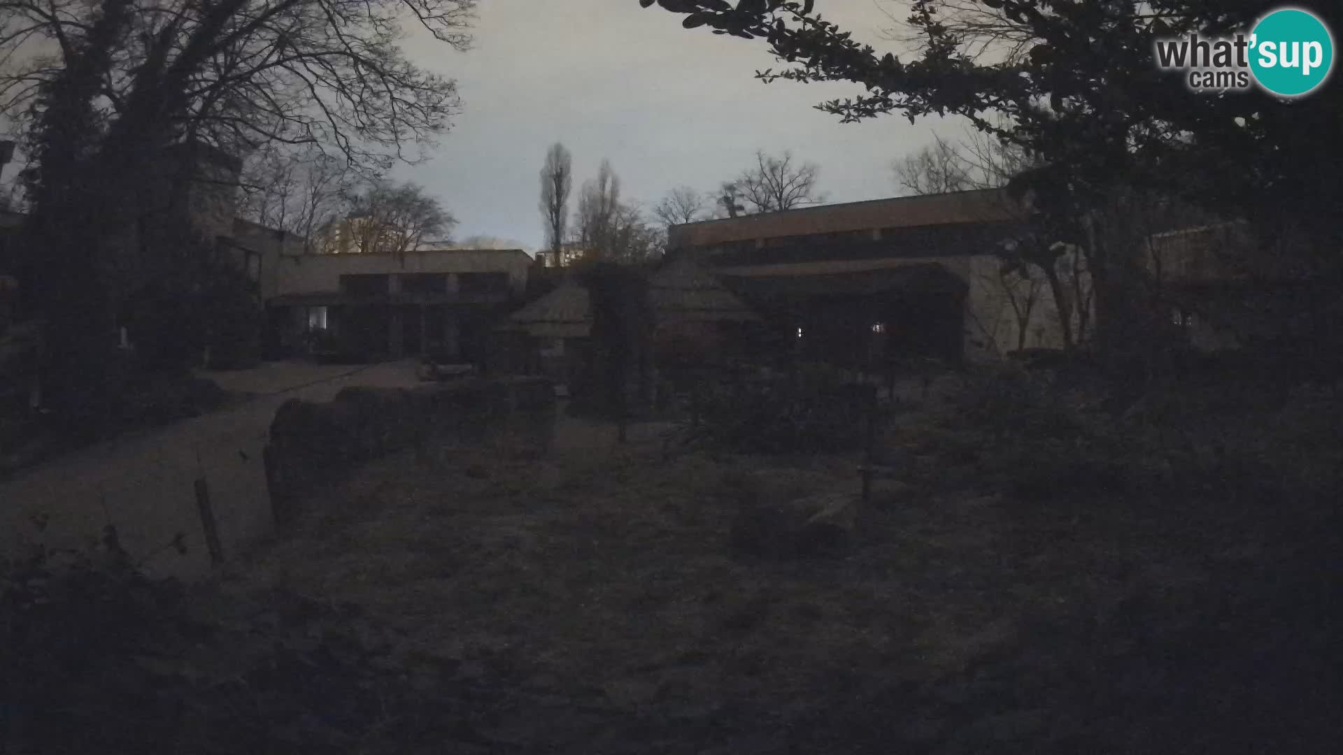 Zoo Zagreb – Erdmännchen