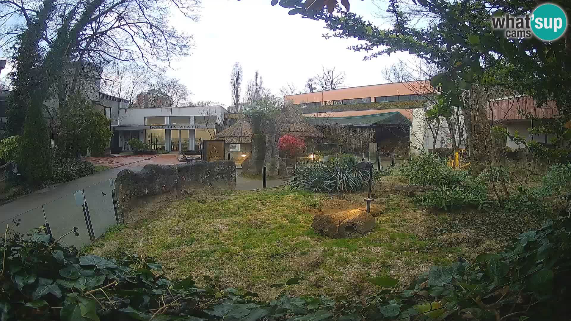 Zoo Zagreb – Surikate