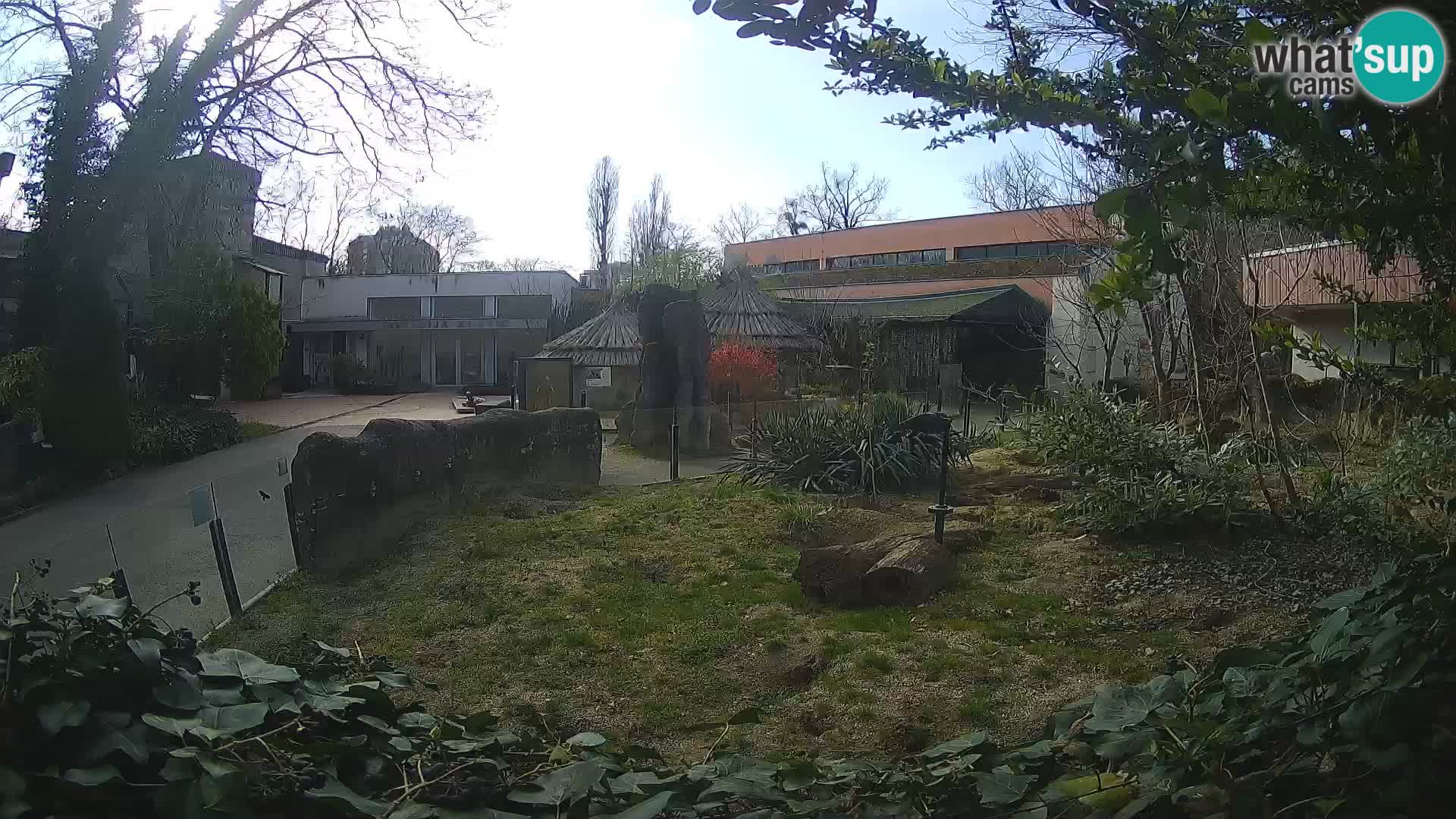 Zoo Zagreb – Erdmännchen
