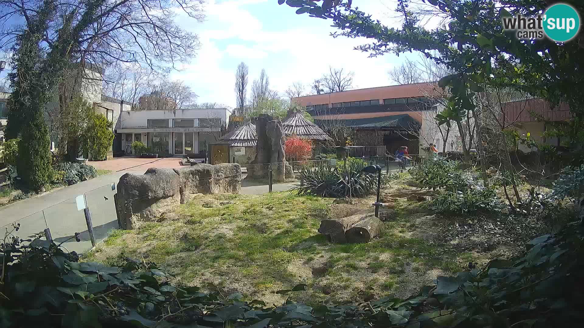 Zoo Zagreb – Surikate