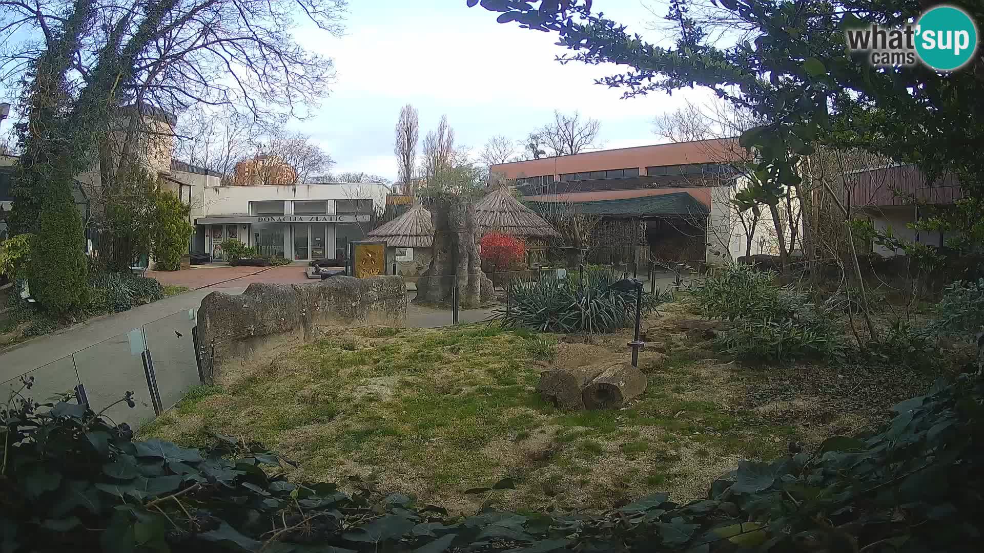 Zoo Zagreb – Merkat
