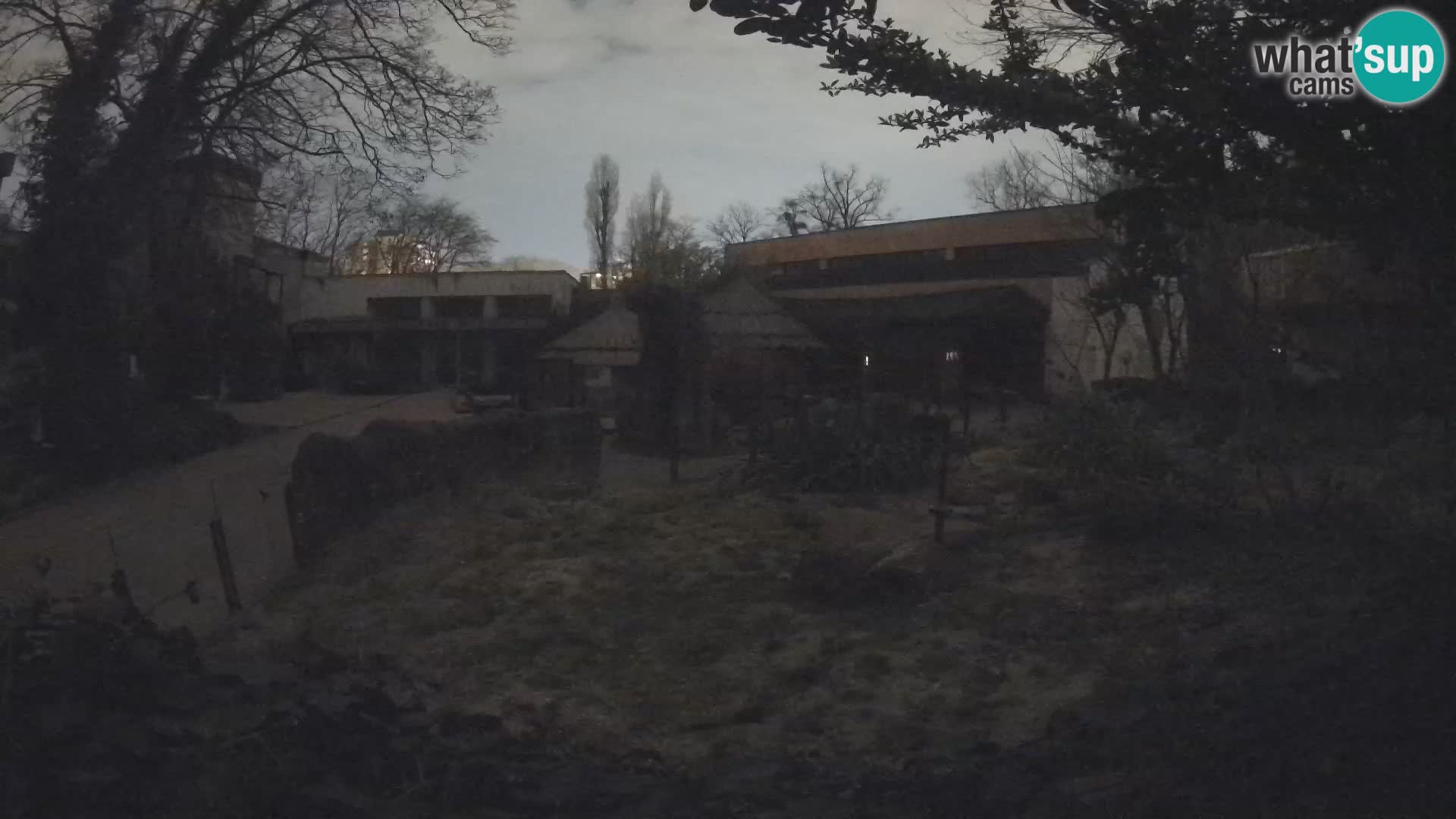 Zoo Zagreb – Surikate