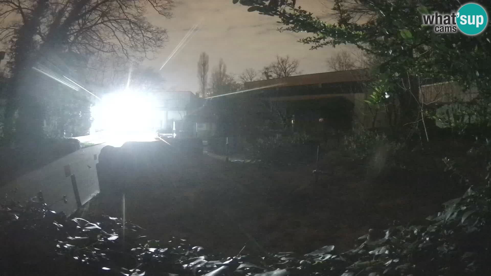 Zoo Zagreb – Erdmännchen