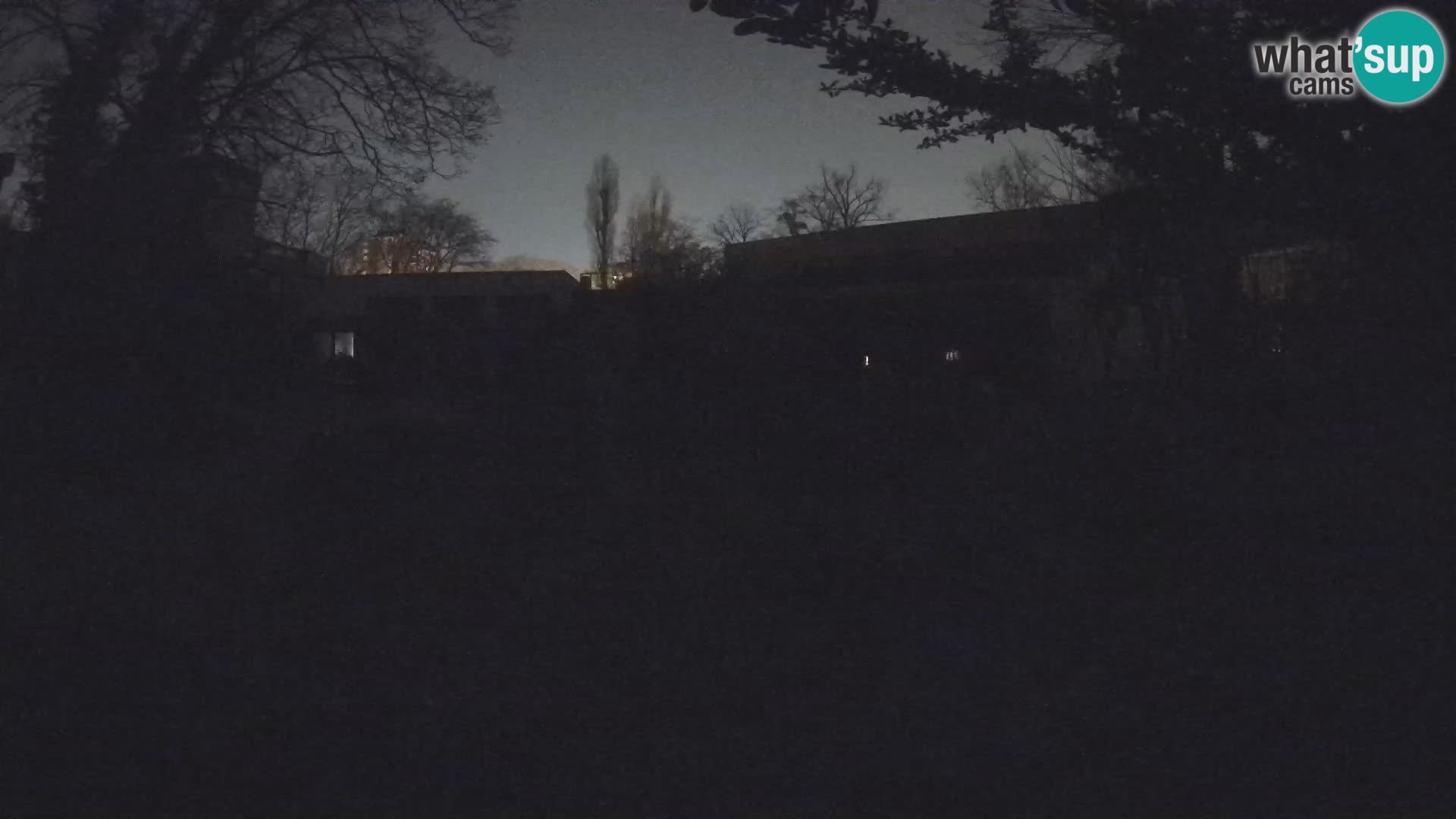 Zoo Zagreb – Erdmännchen