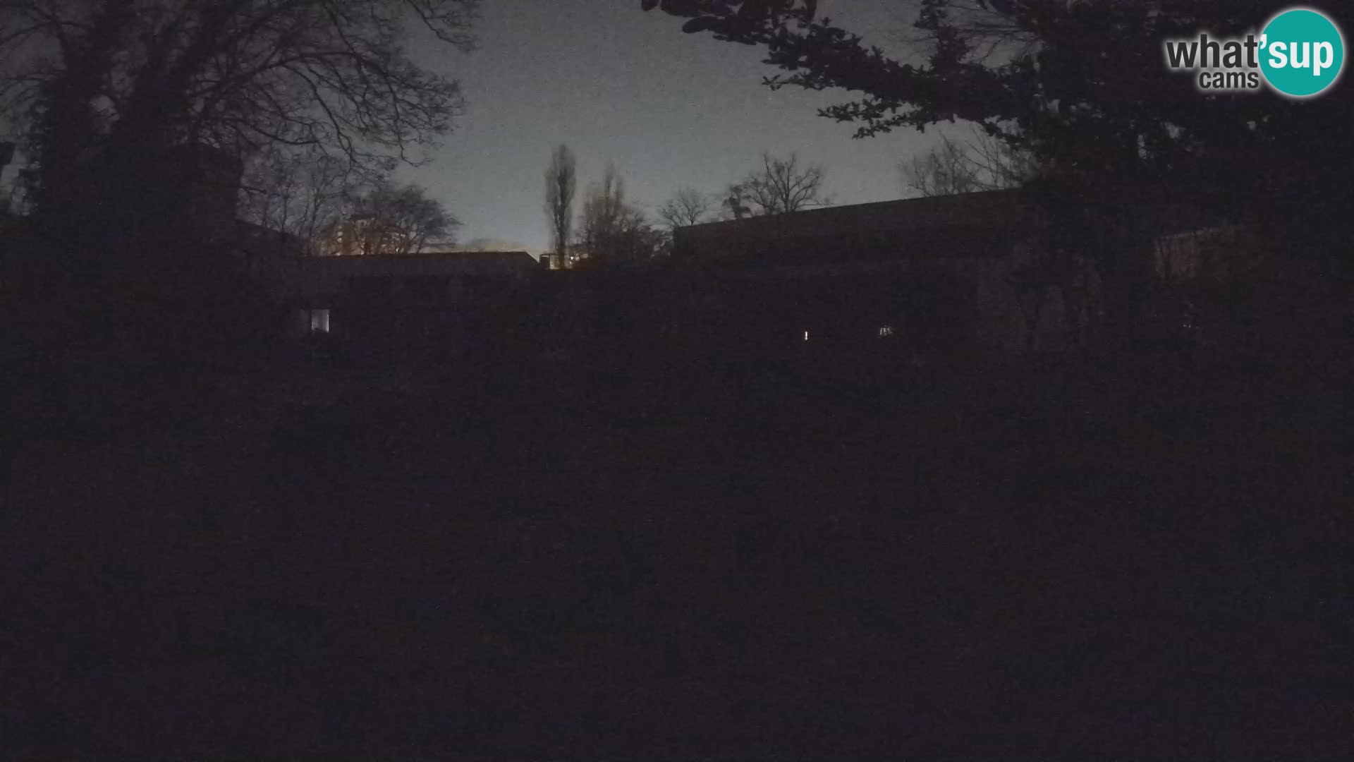 Zoo Zagreb – Erdmännchen