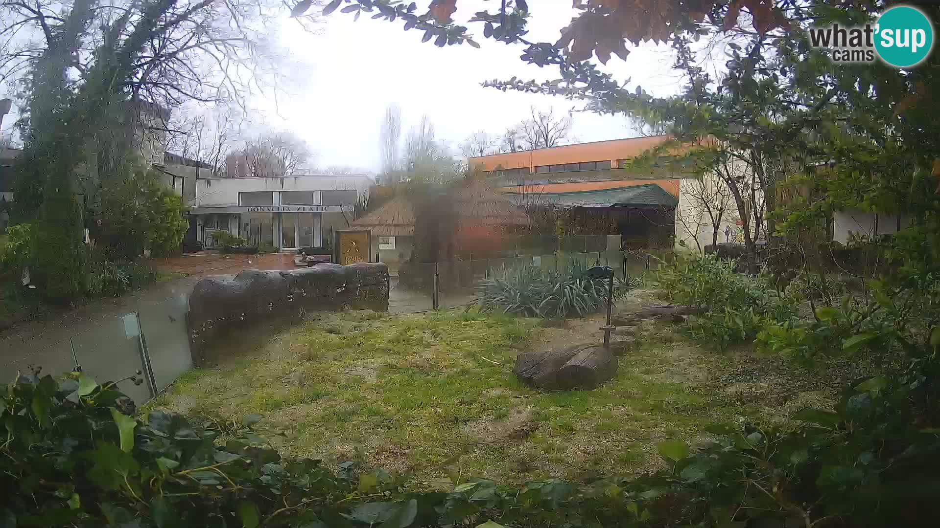 Zoo Zagreb – Erdmännchen