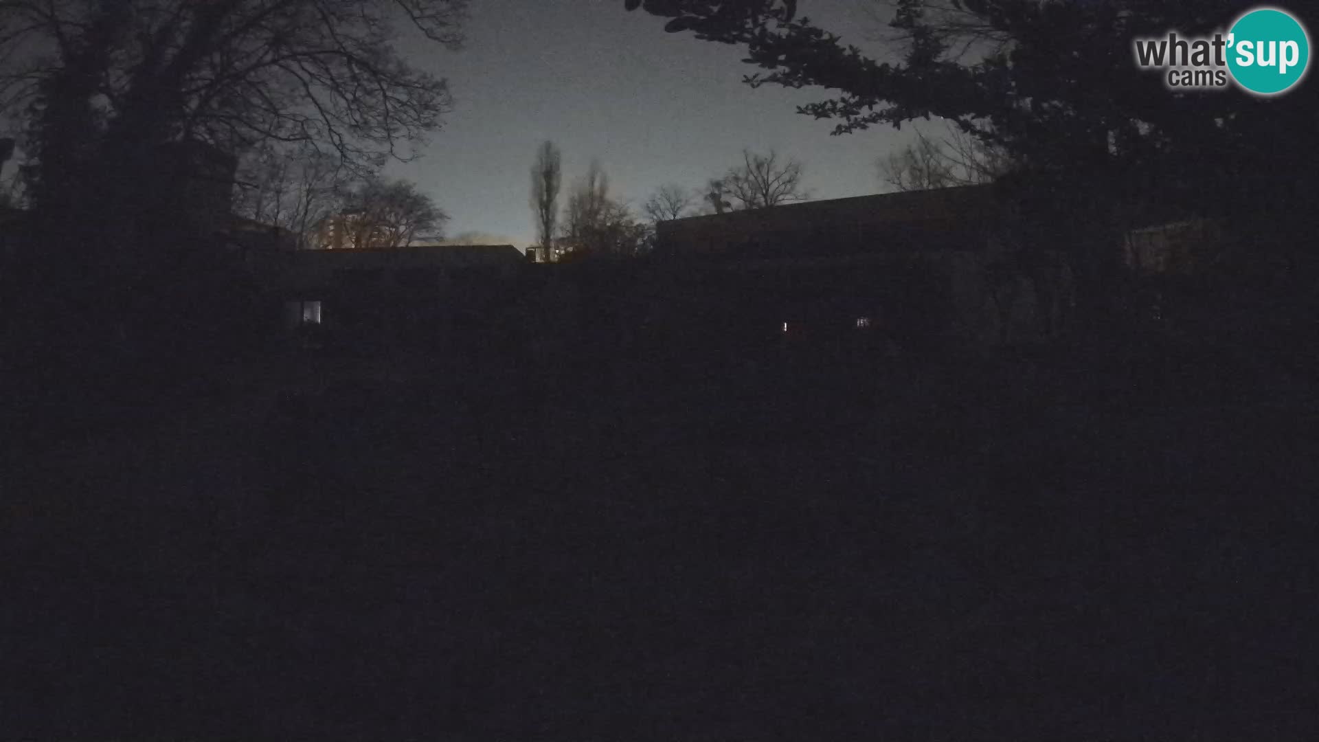 Zoo Zagreb – Suricata