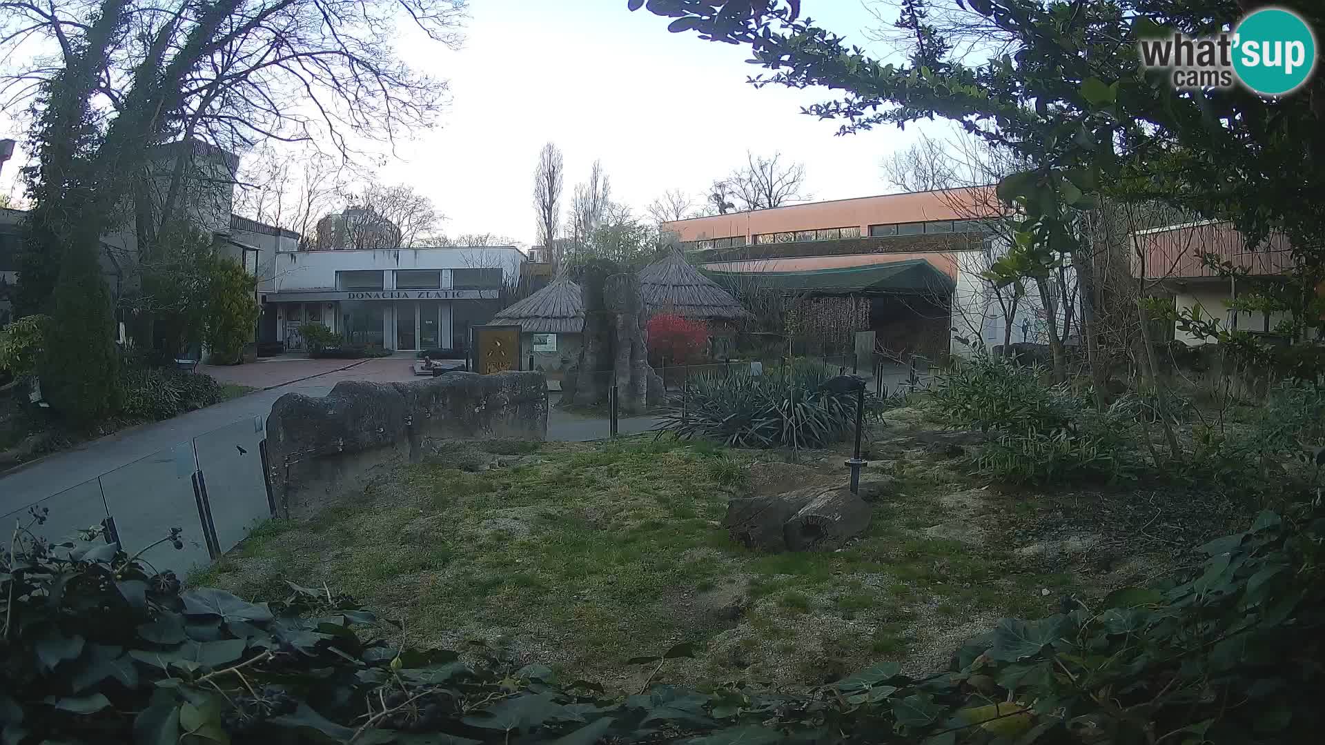 Zoo Zagreb – Erdmännchen