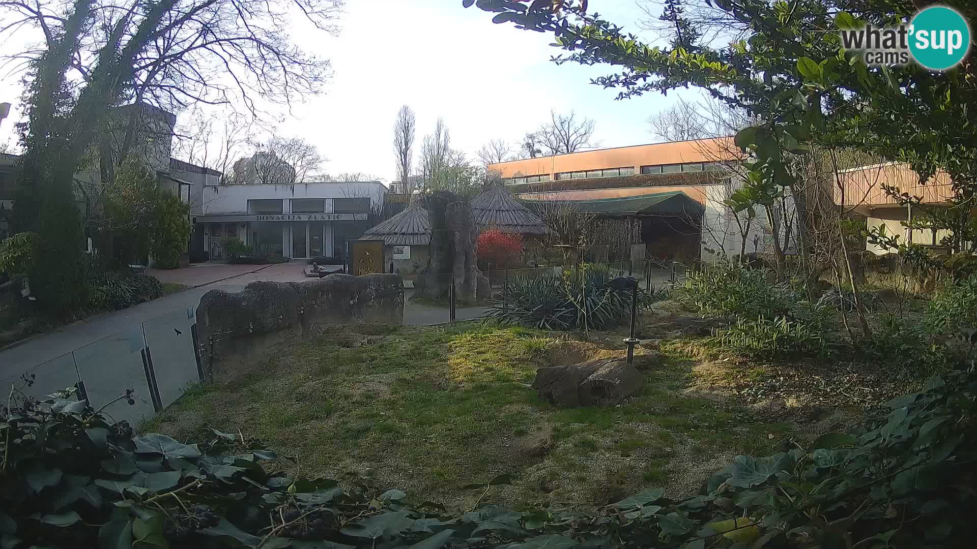 Zoo Zagreb – Erdmännchen
