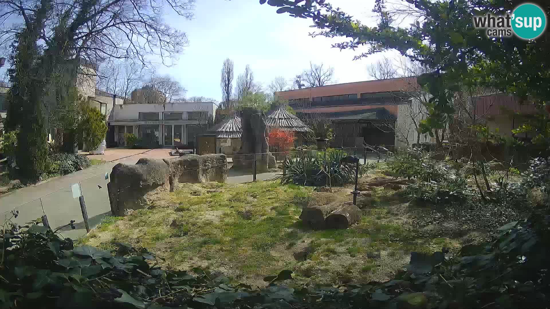 Zoo Zagreb – Erdmännchen