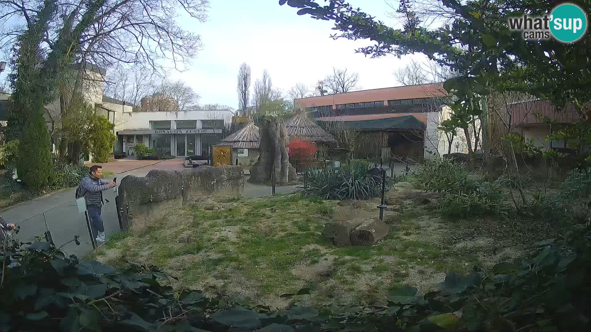Zoo Zagreb – Merkat