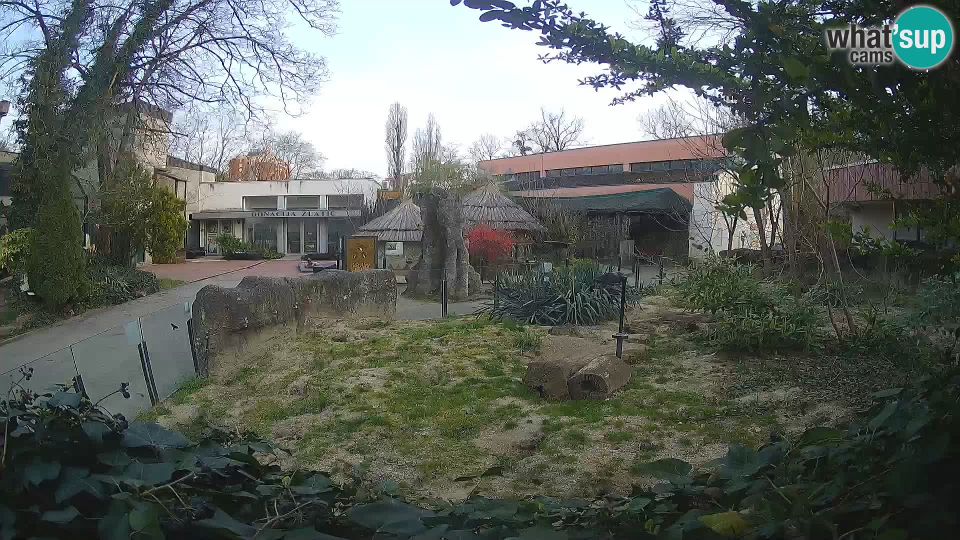Zoo Zagreb – Surikate