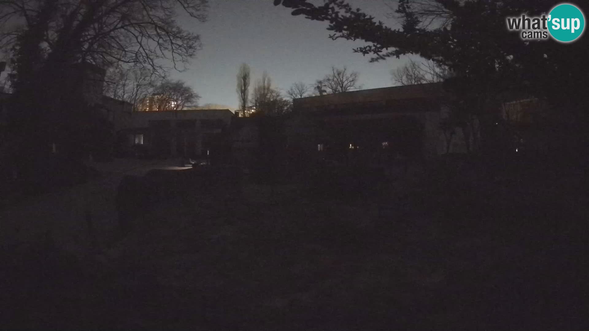 Zoo Zagreb – Surikate