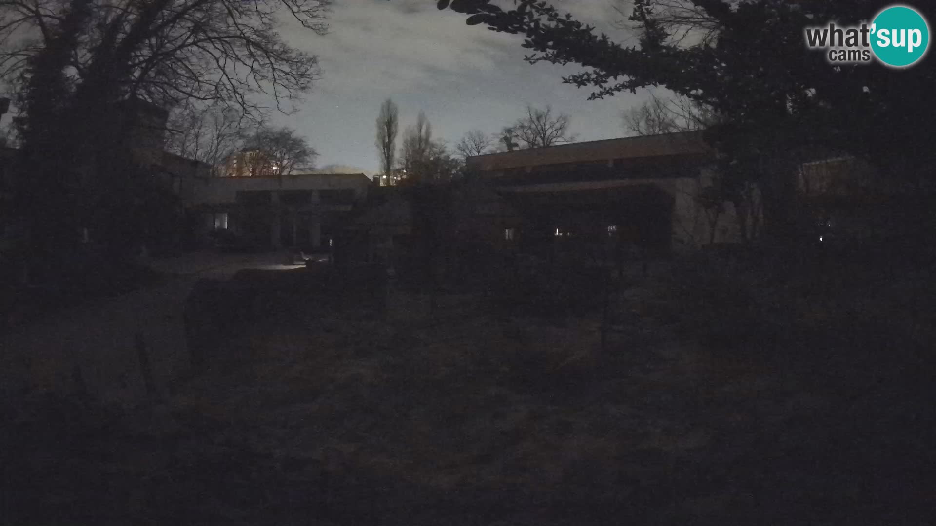 Zoo Zagreb – Erdmännchen