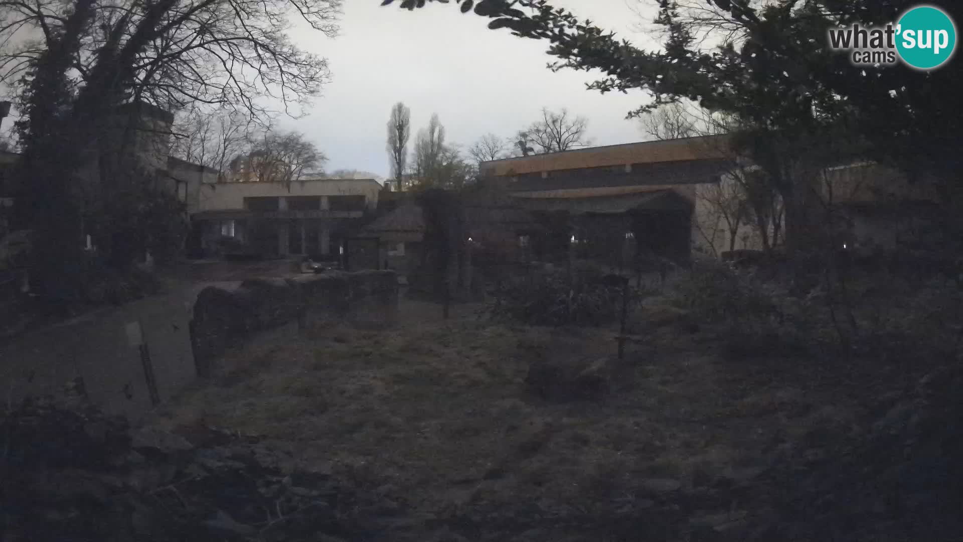 Zoo Zagreb – Erdmännchen