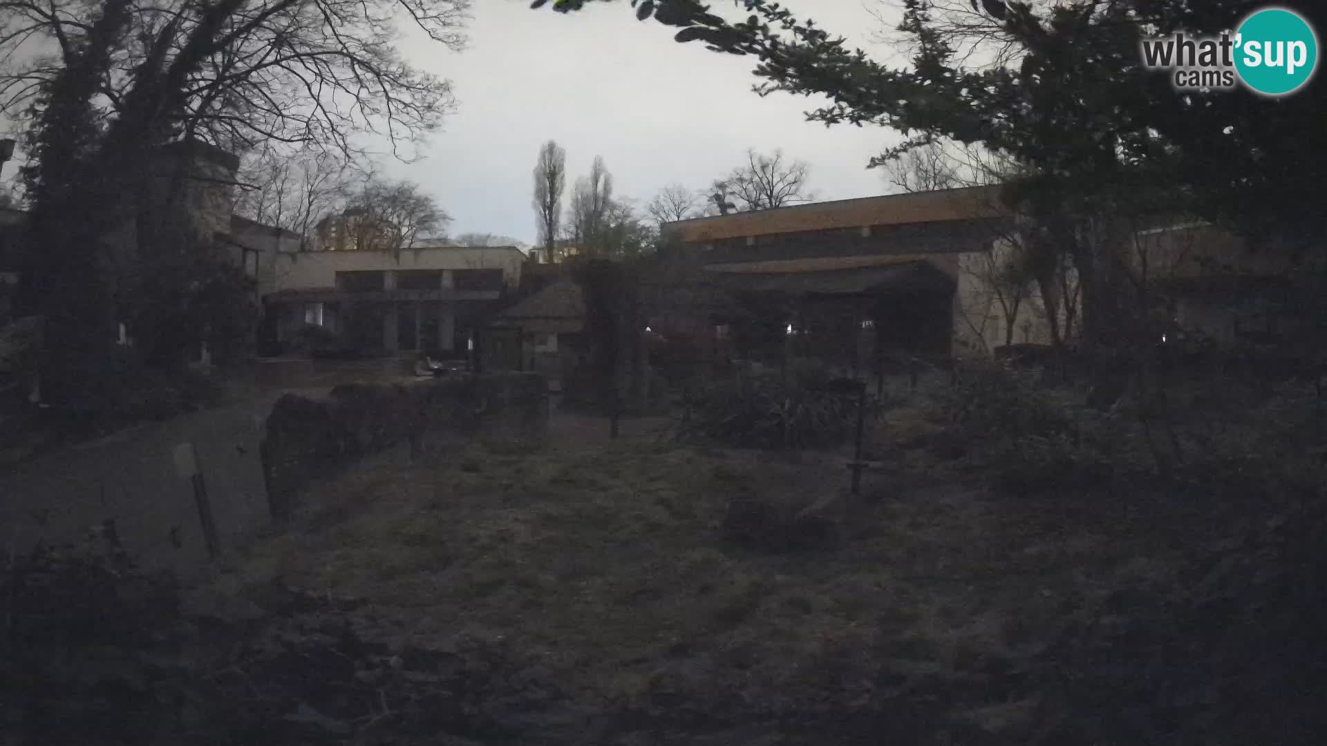 Zoo Zagreb – Erdmännchen