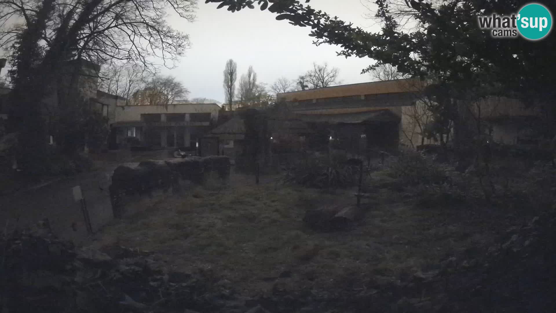 Zoo Zagreb – Erdmännchen