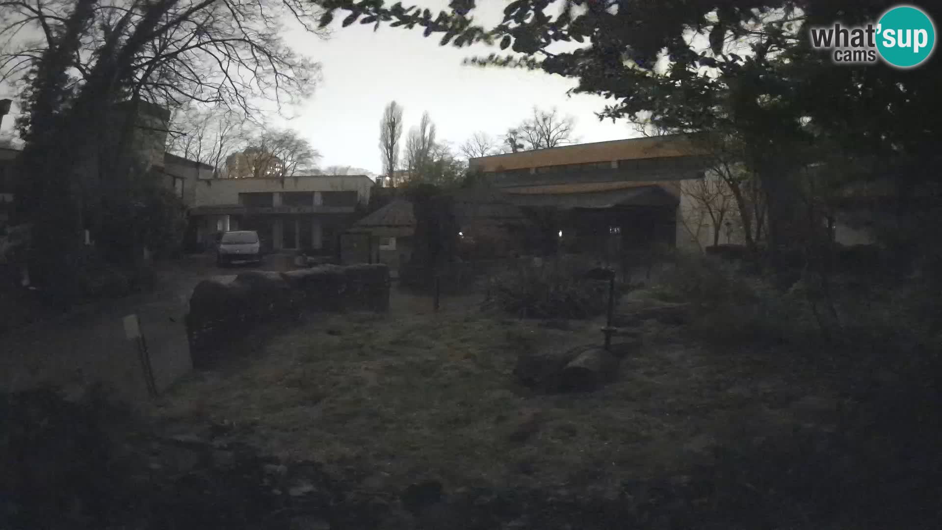 Zoo Zagreb – Suricata