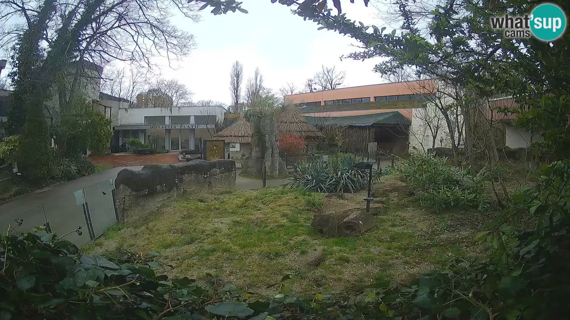 Zoo Zagreb – Merkat