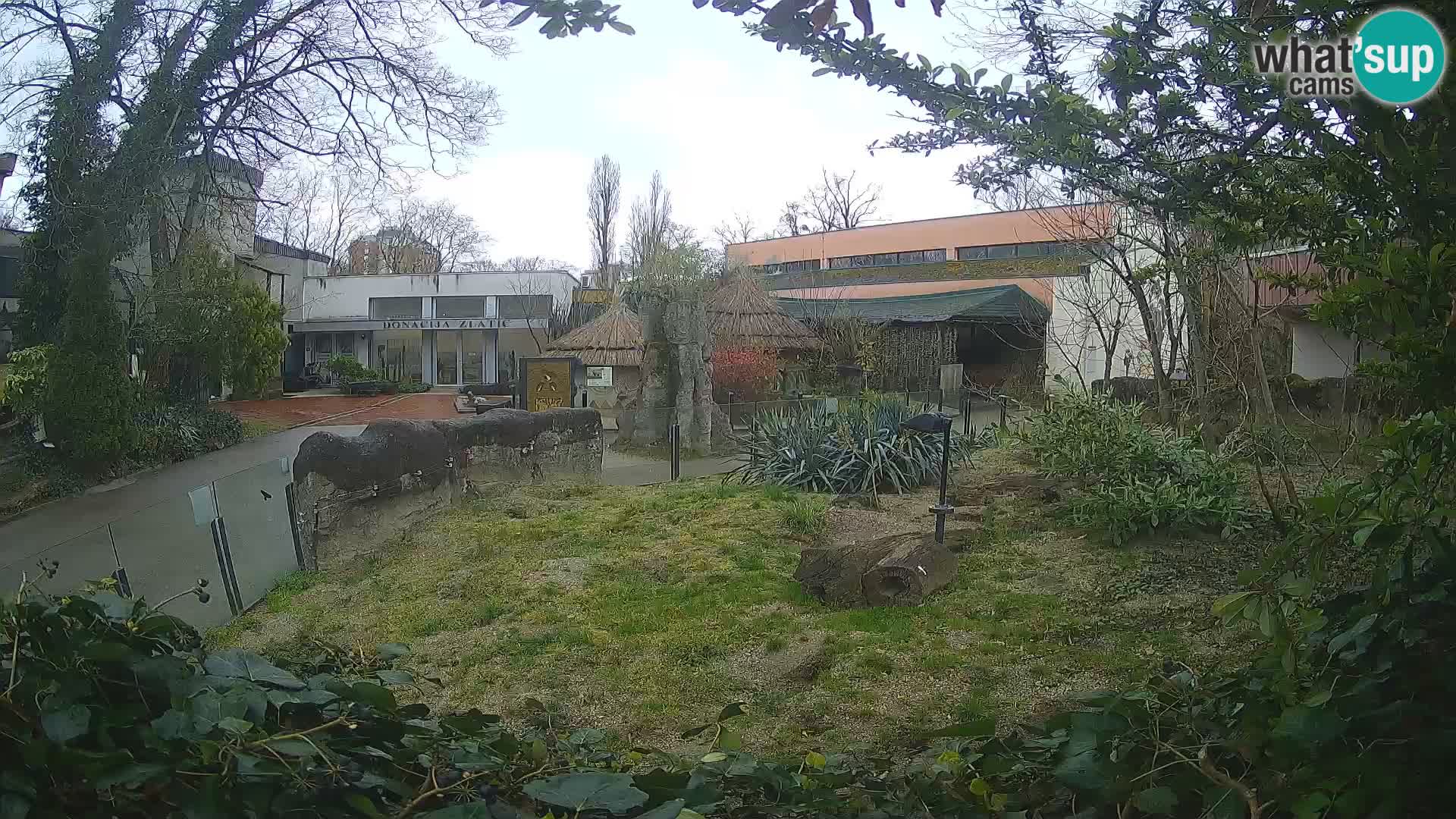 Zoo Zagreb – Merkat