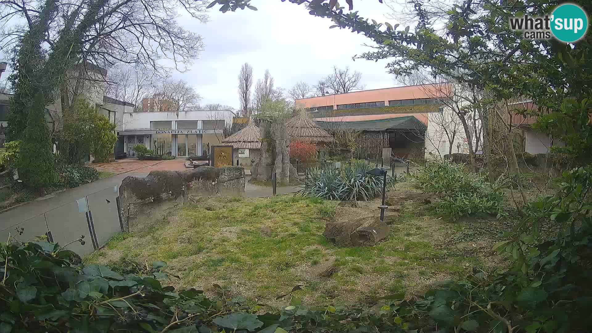 Zoo Zagreb – Merkat