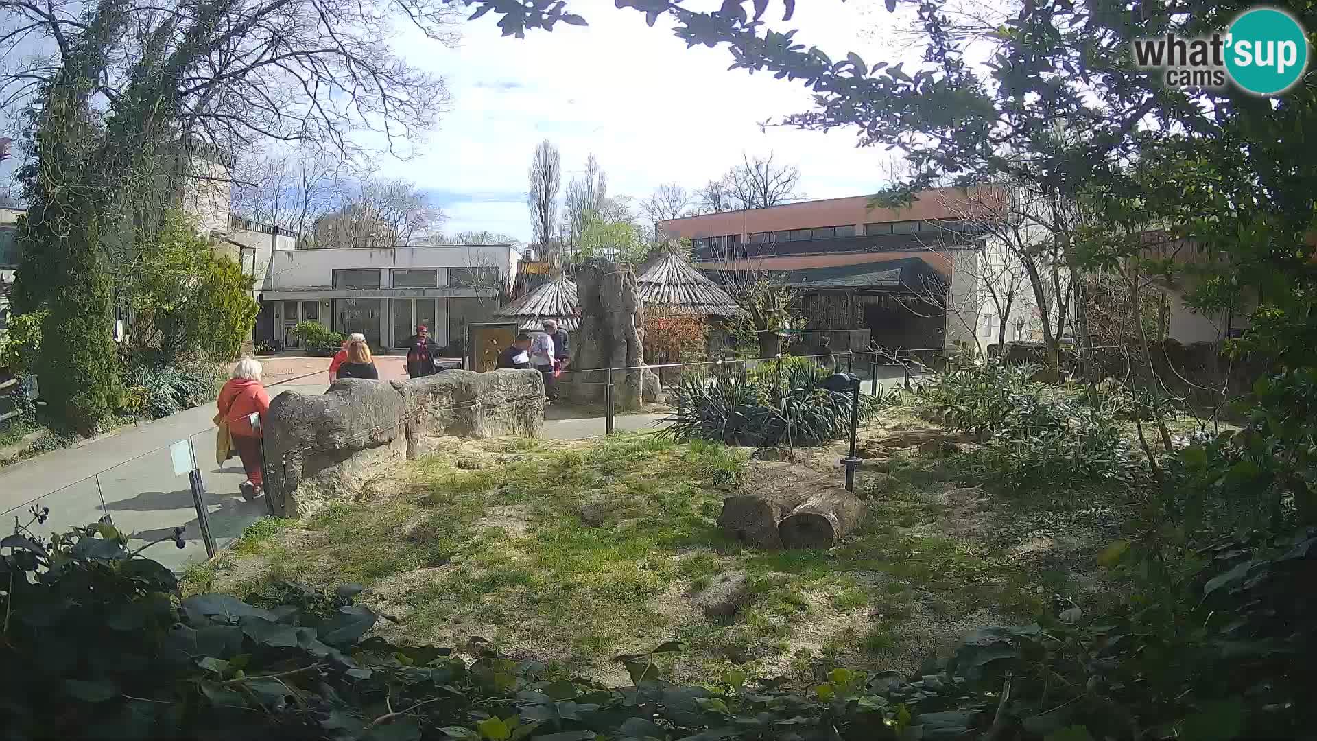 Zoo Zagreb – Erdmännchen