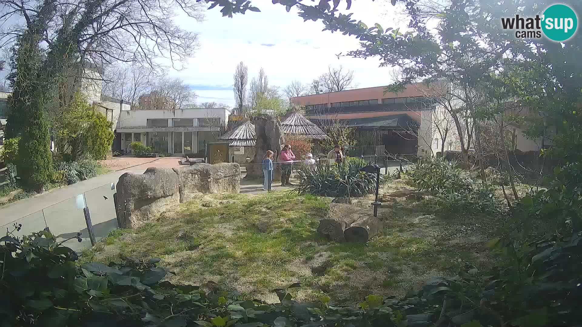 Zoo Zagreb – Erdmännchen