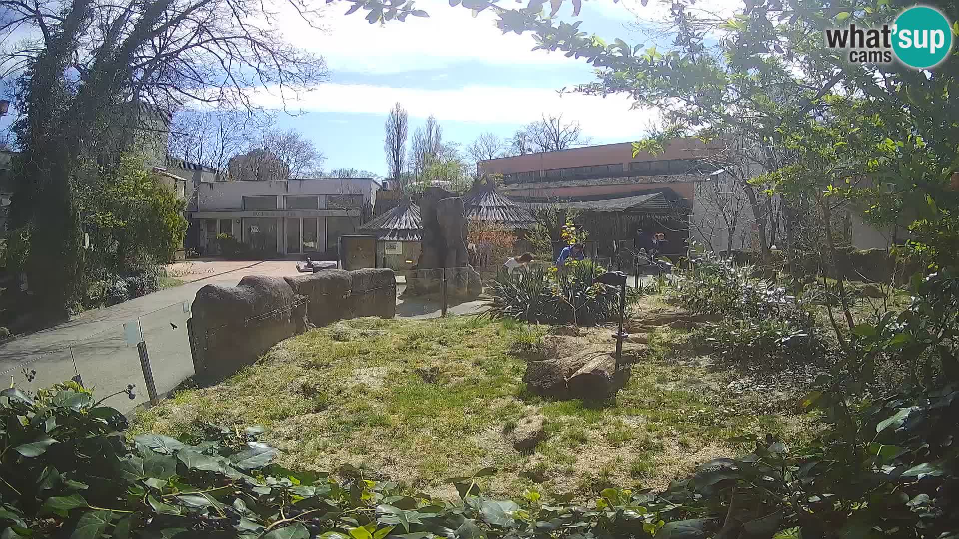 Zoo Zagreb – Erdmännchen